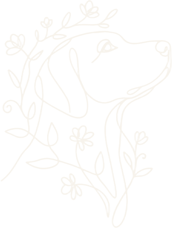 Logo Canin Authentique